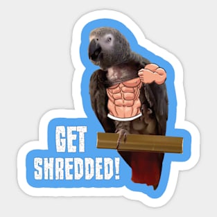 Einstein parrot is pumped up! Sticker